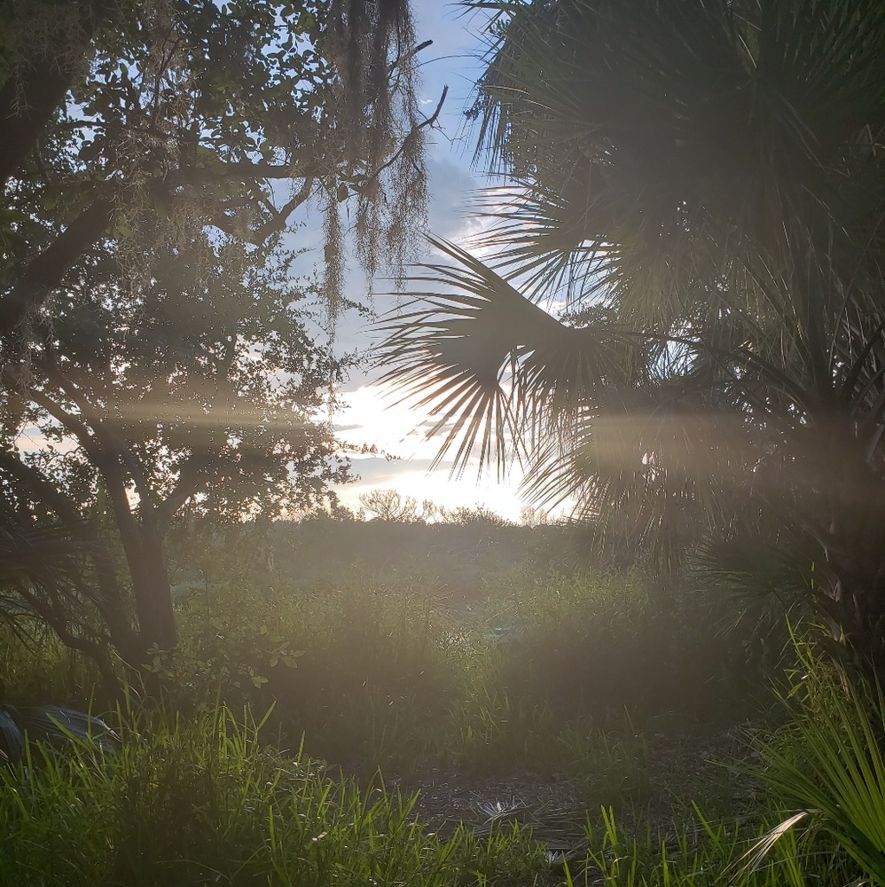 Meet your Posher, Kat